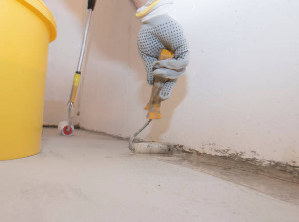 Emergency Pest Control Services in South Gull Lake, MI